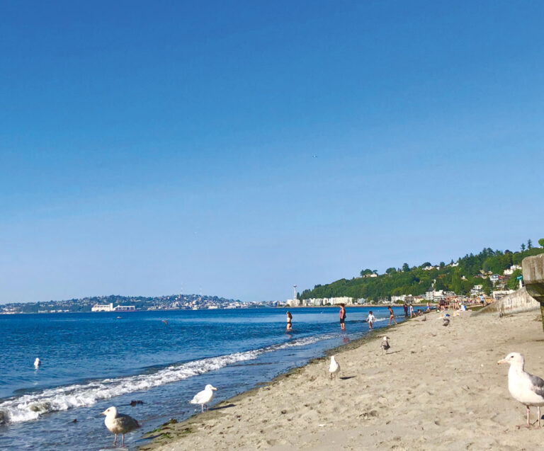 People walk along a sandy beach with seagulls nearby, gentle waves, and blue sky. In the background across the water, buildings and greenery from the West Seattle neighborhood are visible.