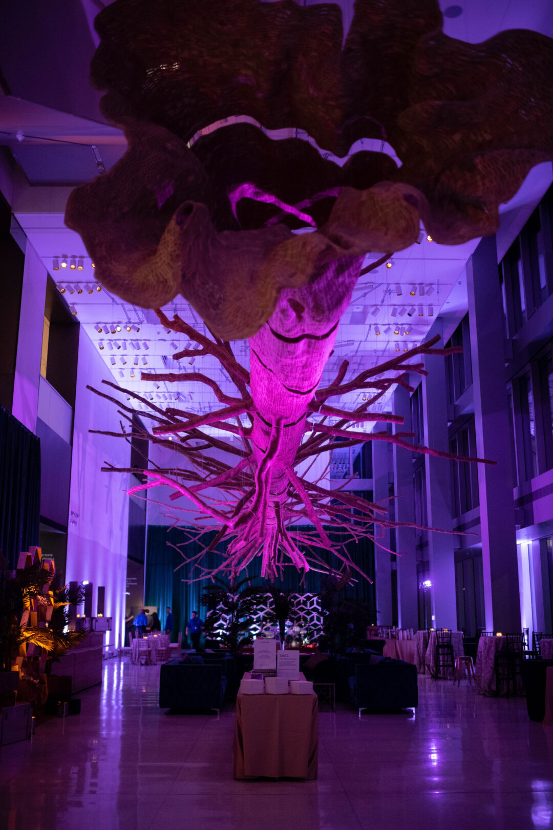 Seattle Art Museum Visit Seattle