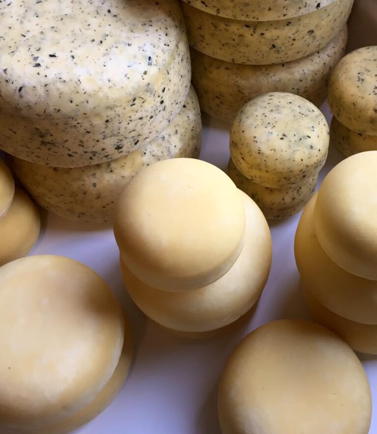 Several wheels of cheese are stacked closely together. Some have a smooth yellow surface, while others have specks of herbs distributed throughout, indicating flavored varieties. The cheeses are arranged on a white surface.