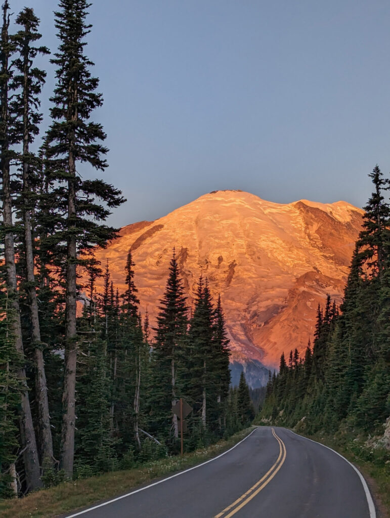 A winding road leads through tall evergreen trees toward a snow-capped mountain glowing orange from the setting sun under a clear blue sky.
