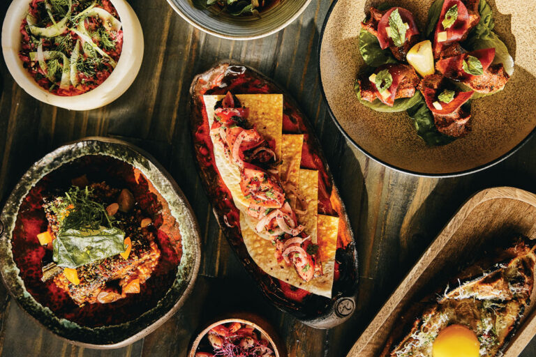 A variety of vibrant, artfully plated dishes on a wooden table, featuring vegetables, crackers with toppings, greens, grains, and a dish with an egg, all arranged from a top-down view.