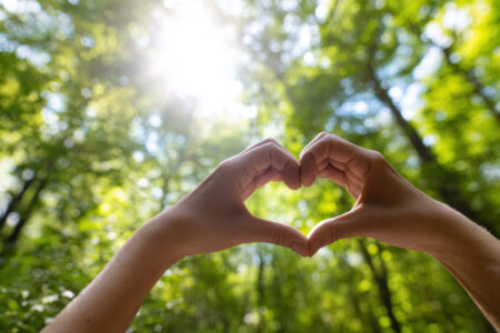 Two hands form a heart shape against a blurred, sunlit forest background with green leaves and sunlight streaming through the trees.