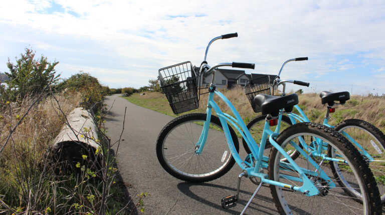 Two light blue bicycles are parked on a paved path near a log, with grassy fields and a house in the background under a partly cloudy sky.