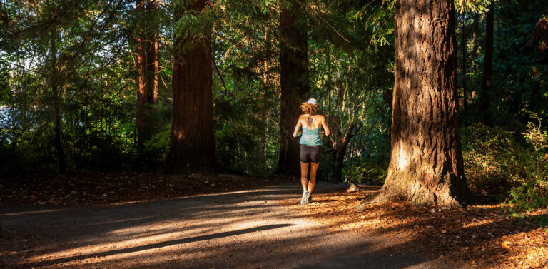 A person jogs on a shaded dirt path through a forest with tall trees, sunlight filtering through the leaves, and dappled light on the ground.