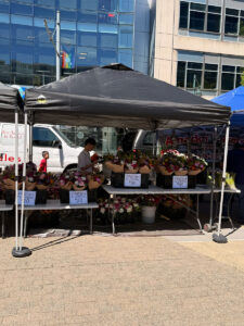 A flower vendor stands under a black canopy at an outdoor market, with bouquets displayed on tables. Signs show prices: “Fresh $20” and “Fresh $30.” A white van and modern building are in the background.