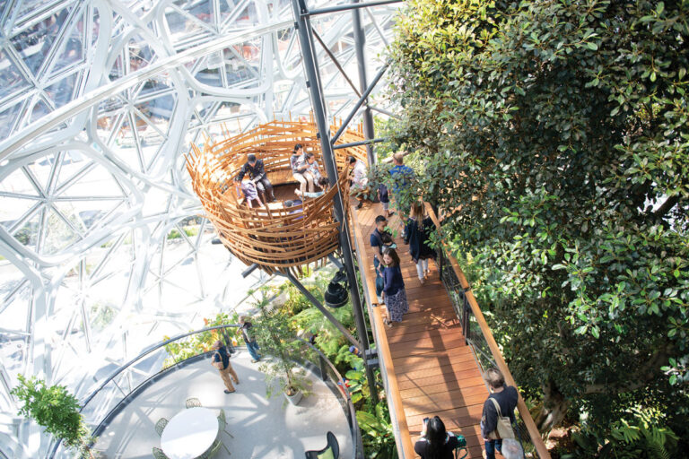 People walk along a wooden walkway surrounded by lush plants inside a glass-domed structure. Some sit in a nest-like seating area suspended above, with sunlight streaming through the geometric glass ceiling.