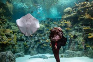 A person holds a toddler while looking at a large stingray swimming in a coral reef aquarium.