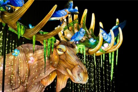 A large, illuminated moose lantern sculpture with blue birds and flowers perched on its antlers, draped with hanging lights.